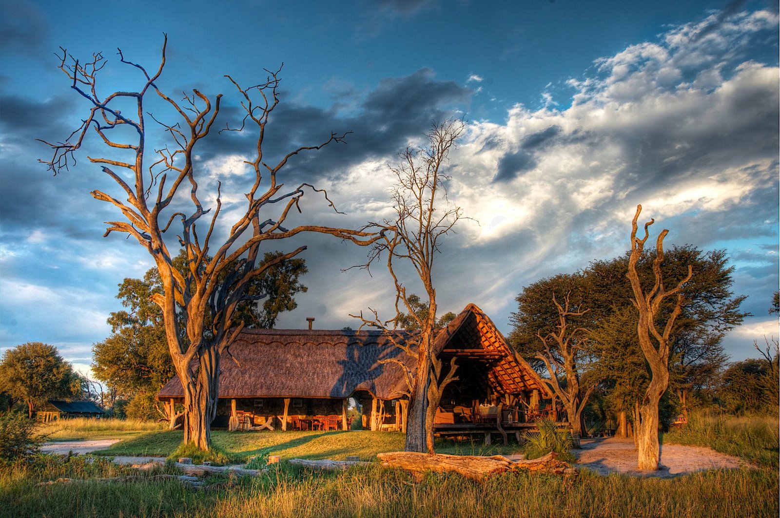 featured-image