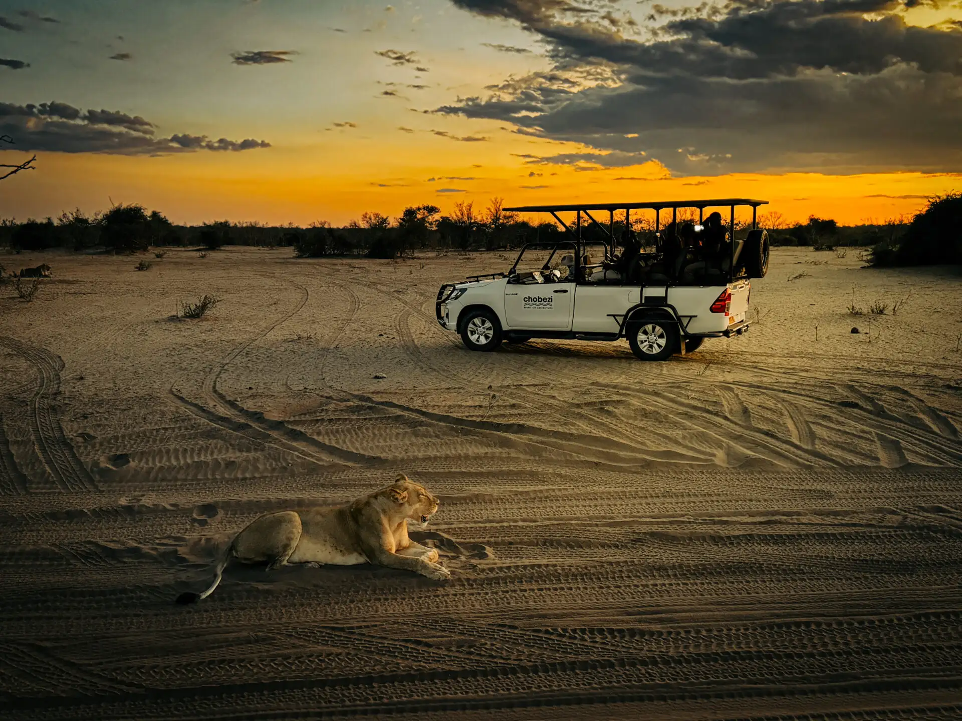 featured-image