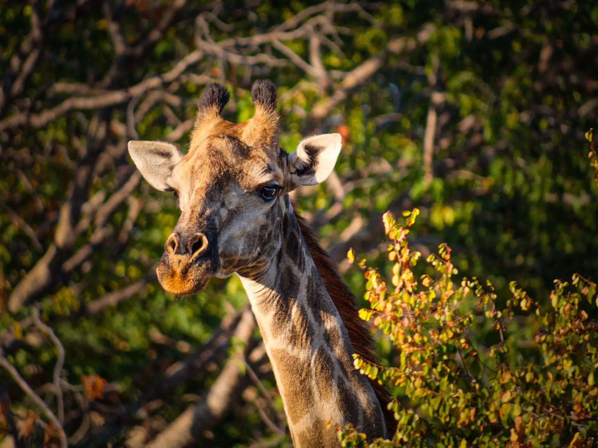 featured-image